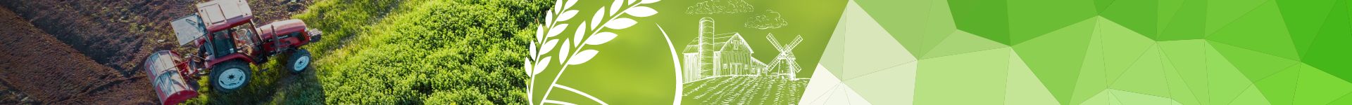 iHawu Wealth Management